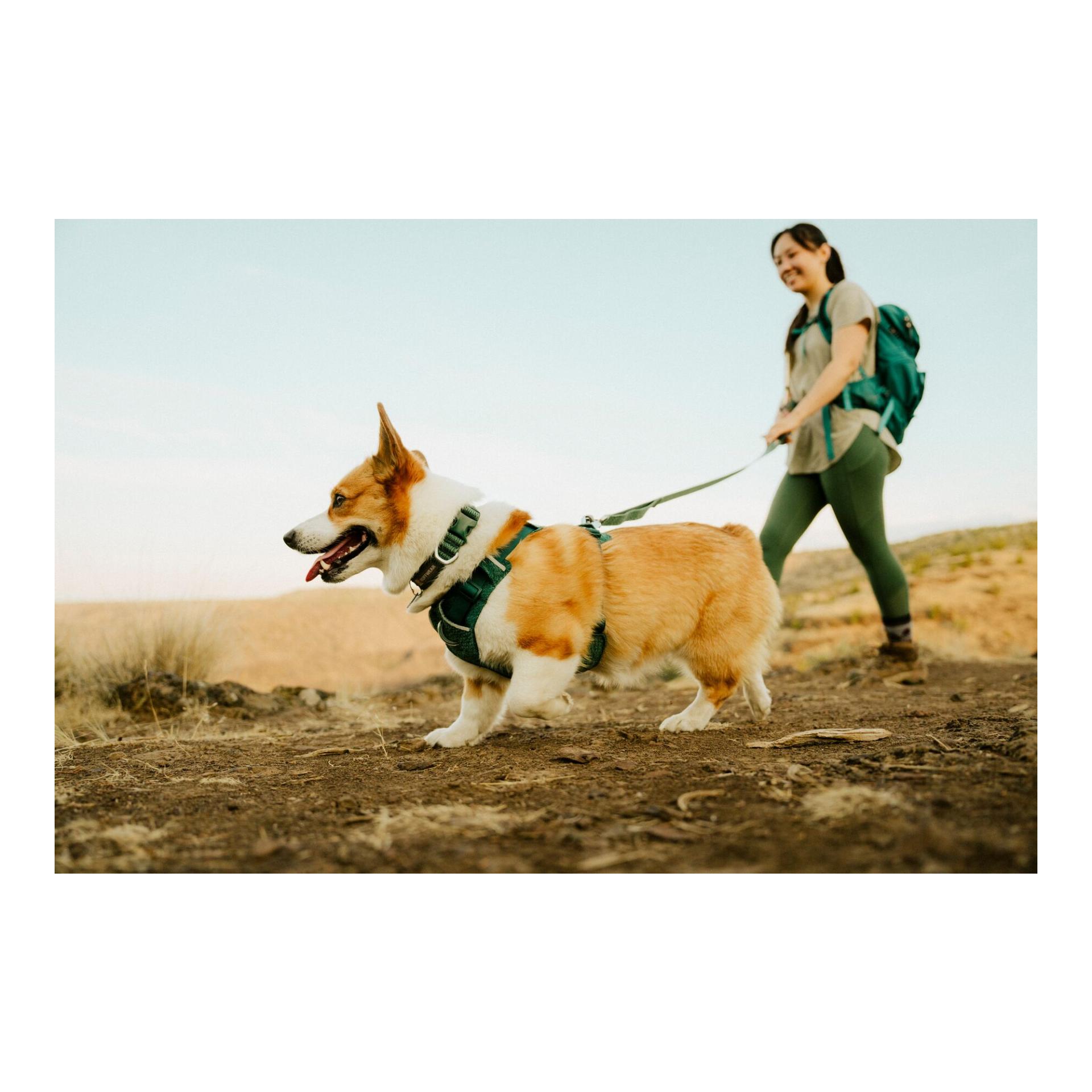 Ruffwear Collier pour chien Front Range™ Flex
