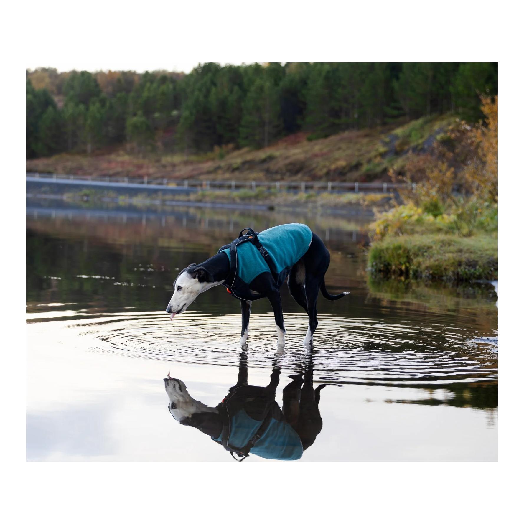 Non-stop Dogwear Pull polaire pour chien Trail quest