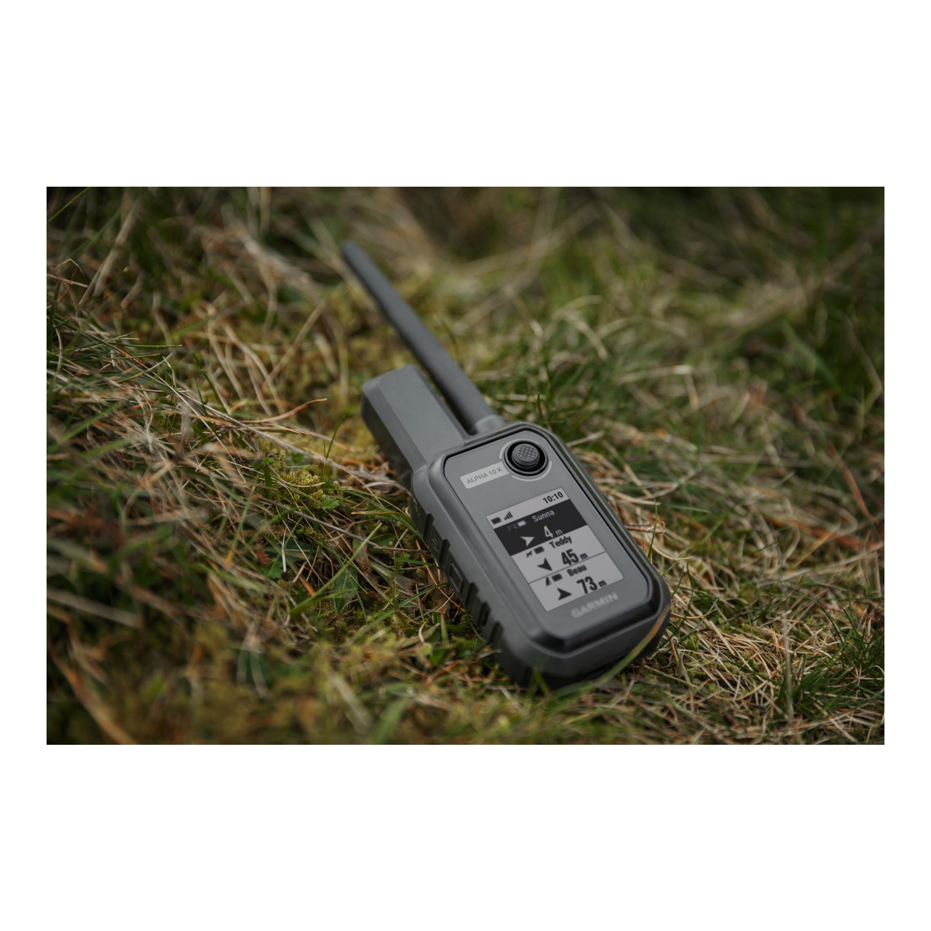 Garmin Alpha 10