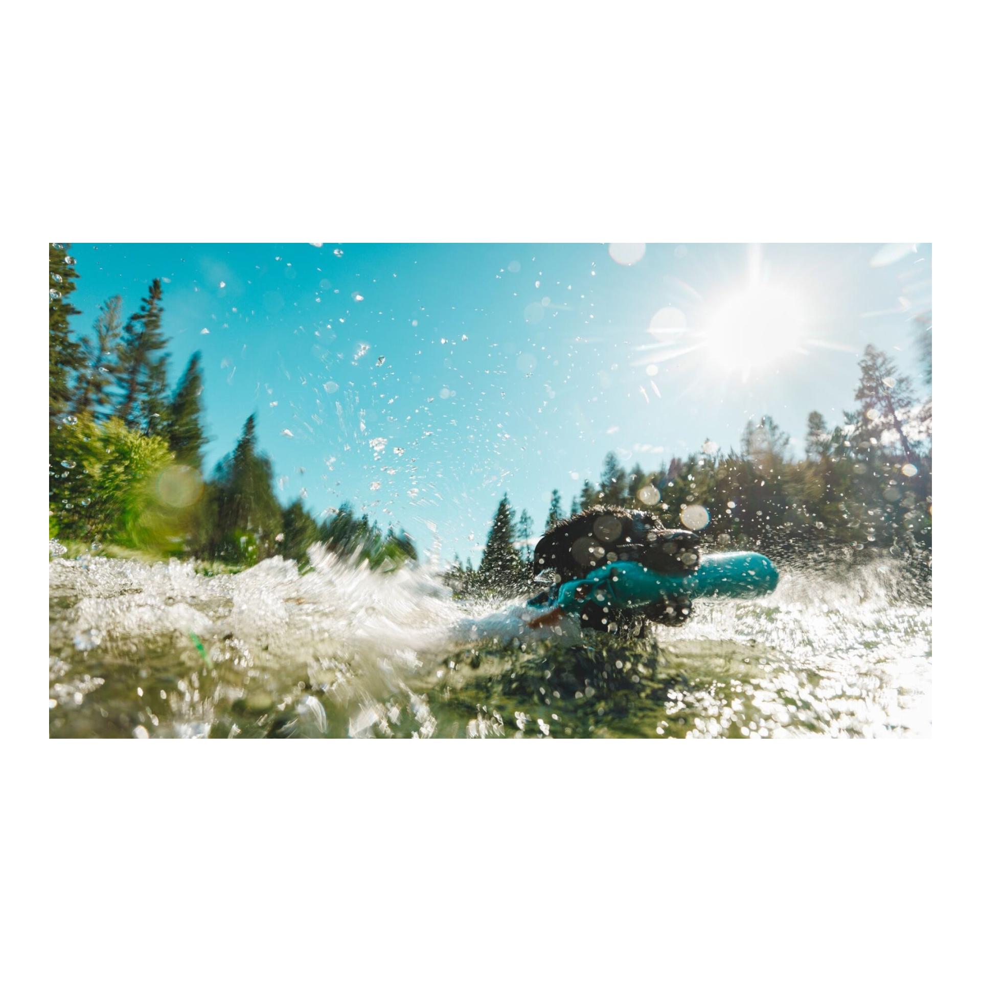 Ruffwear Hundespielzeug Lunker