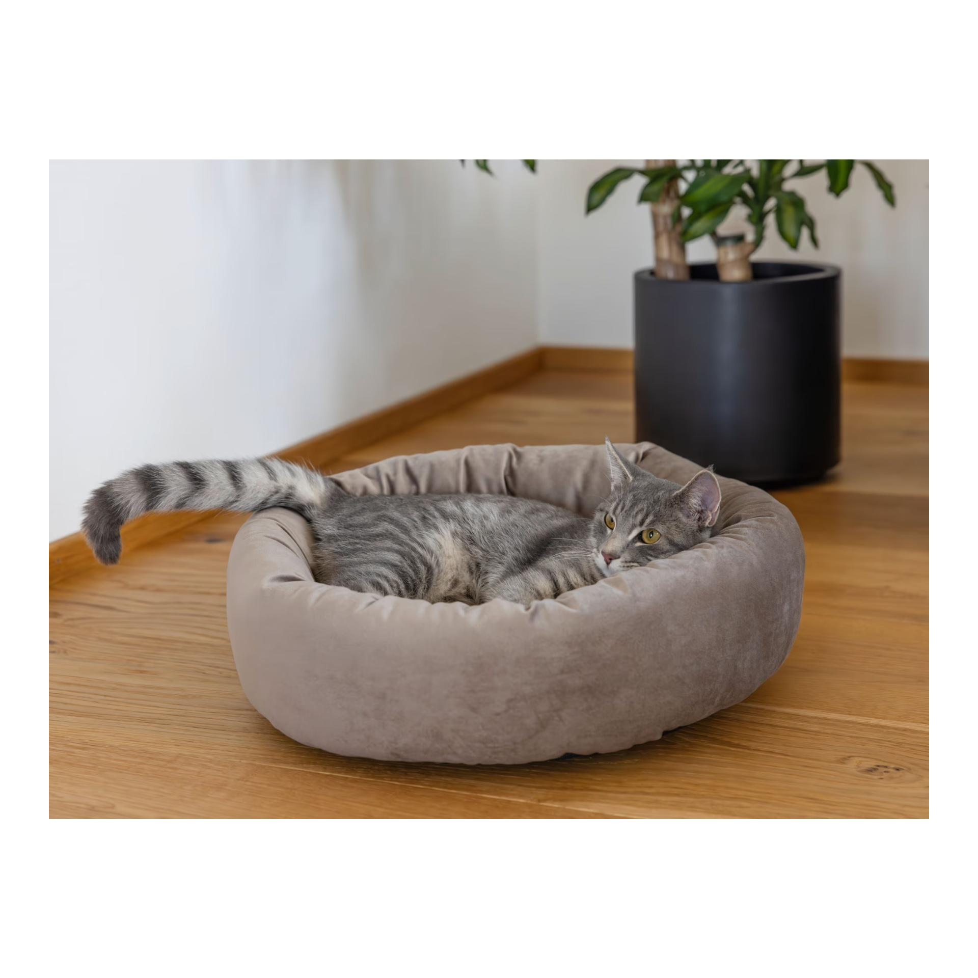 Kerbl Pet Kuschelbett Velvet für Katzen & kleinen Hunden
