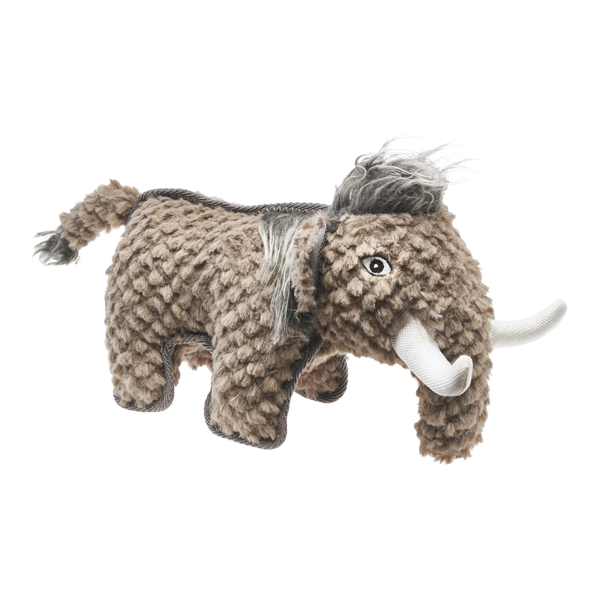 Mammut