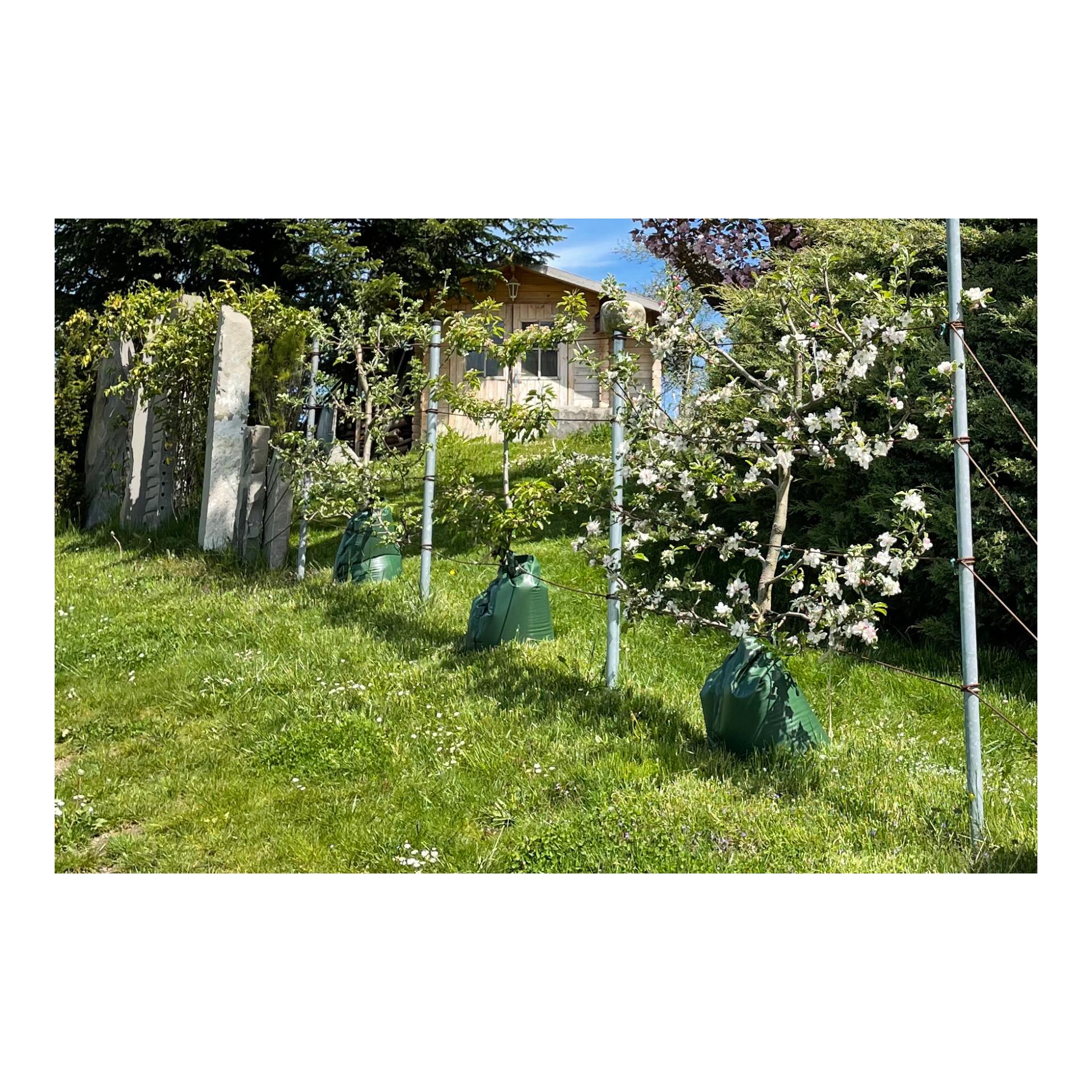Hauptner Sac d'arrosage pour arbres