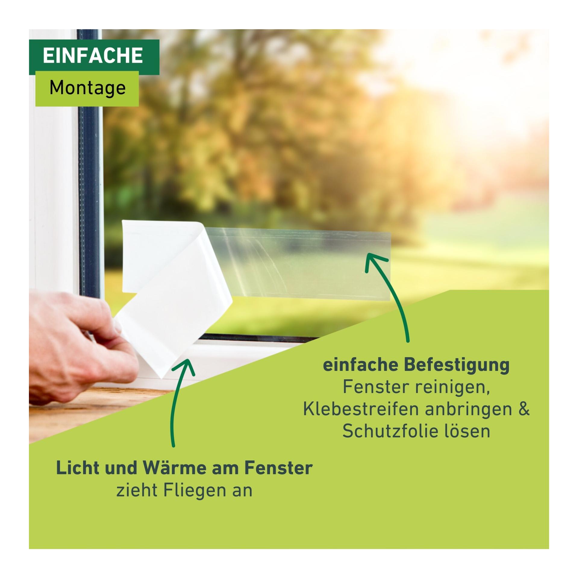 Windhager Fenster-Fliegenfalle
