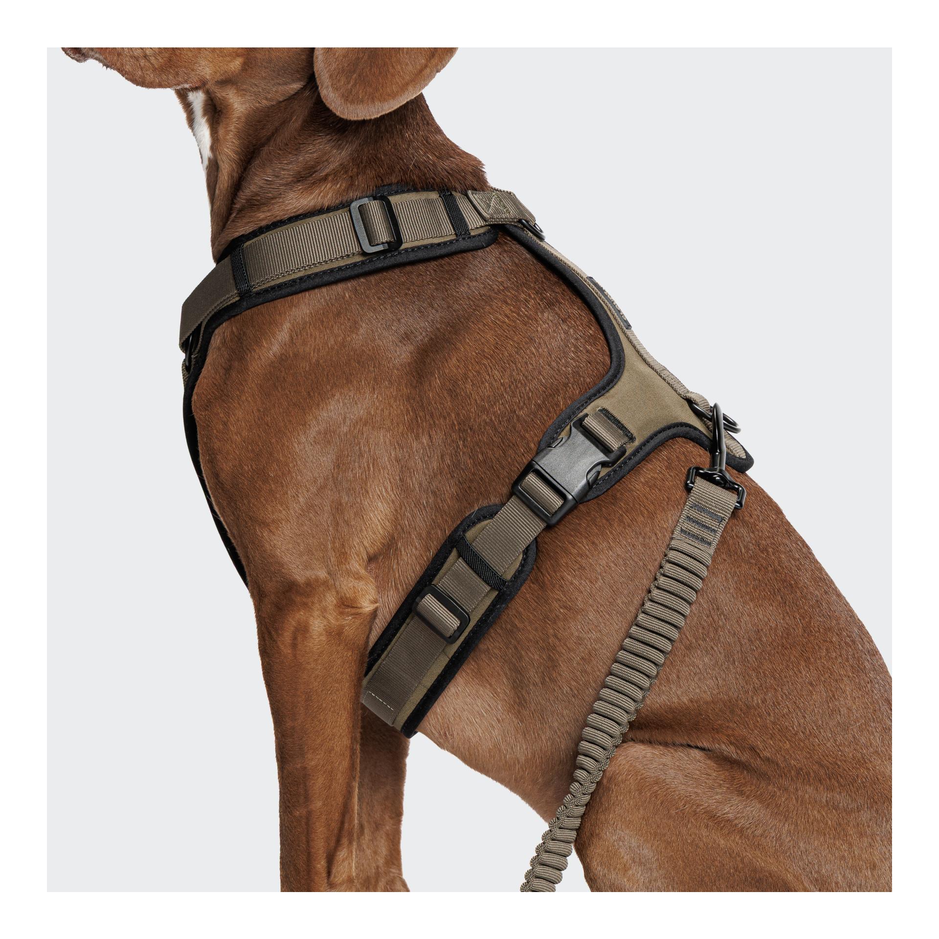 Cloud 7 Y-3-Hundegeschirr