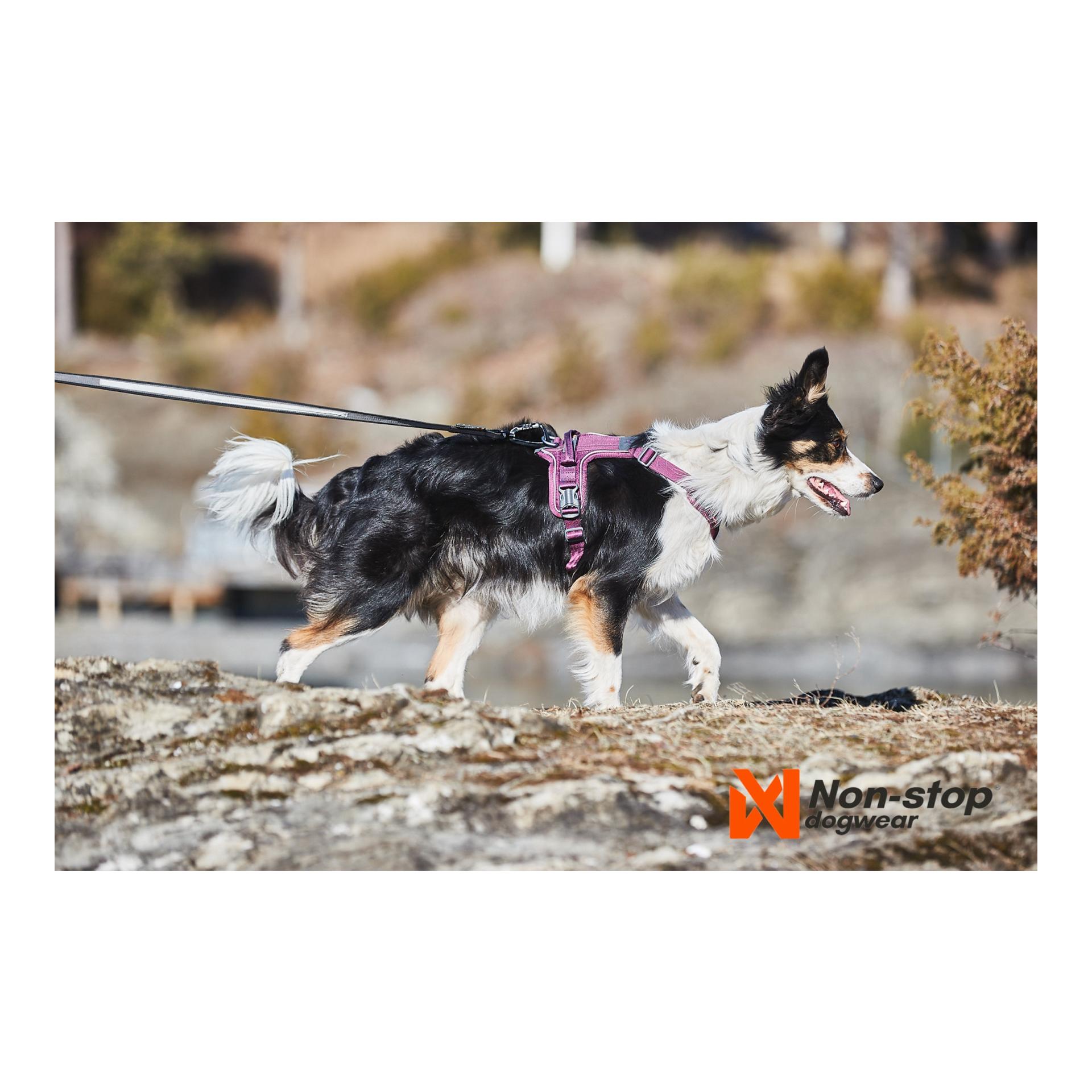 Non-stop Dogwear Ramble Harness - purple