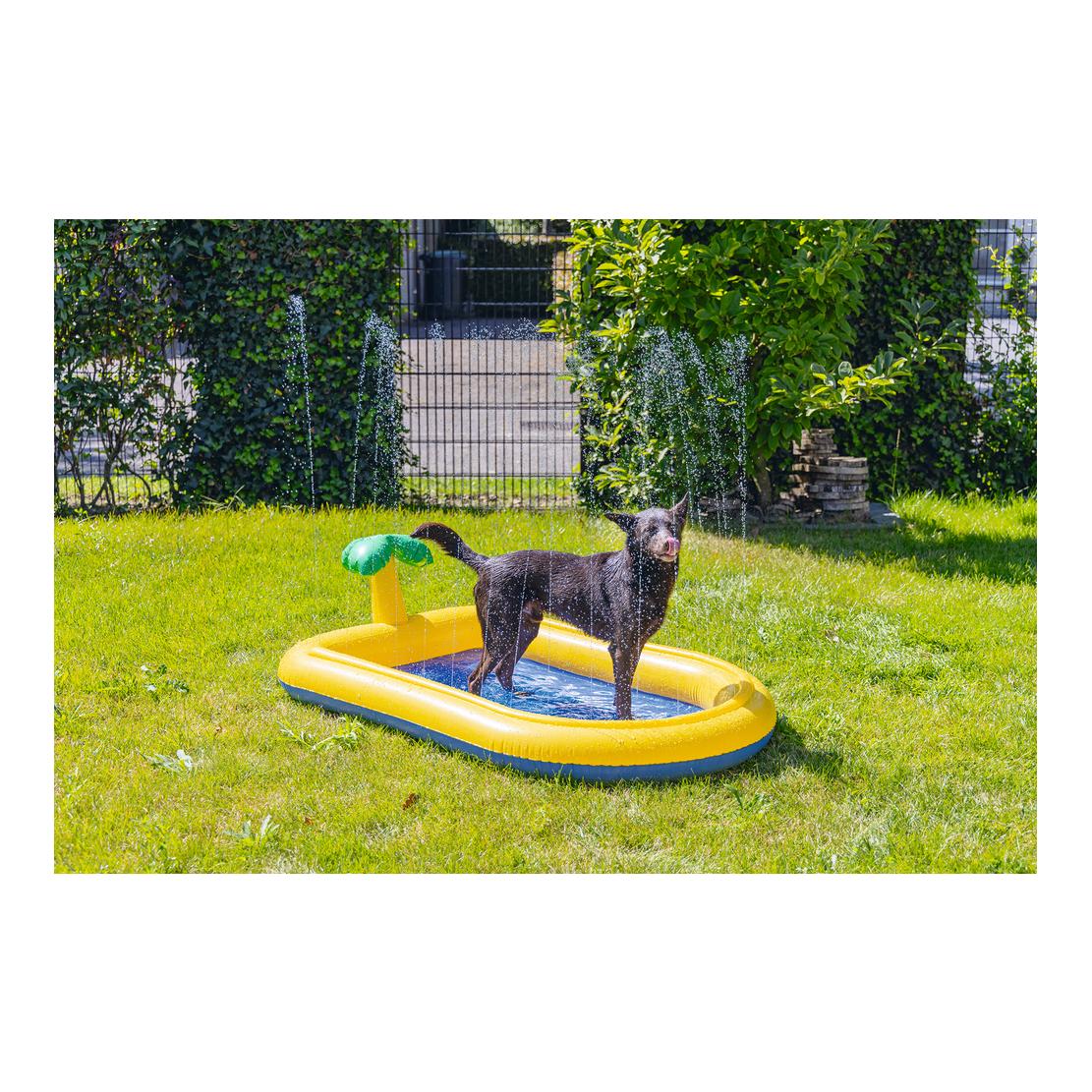 Beeztees Piscine pour chiens Palmy Sprinkler