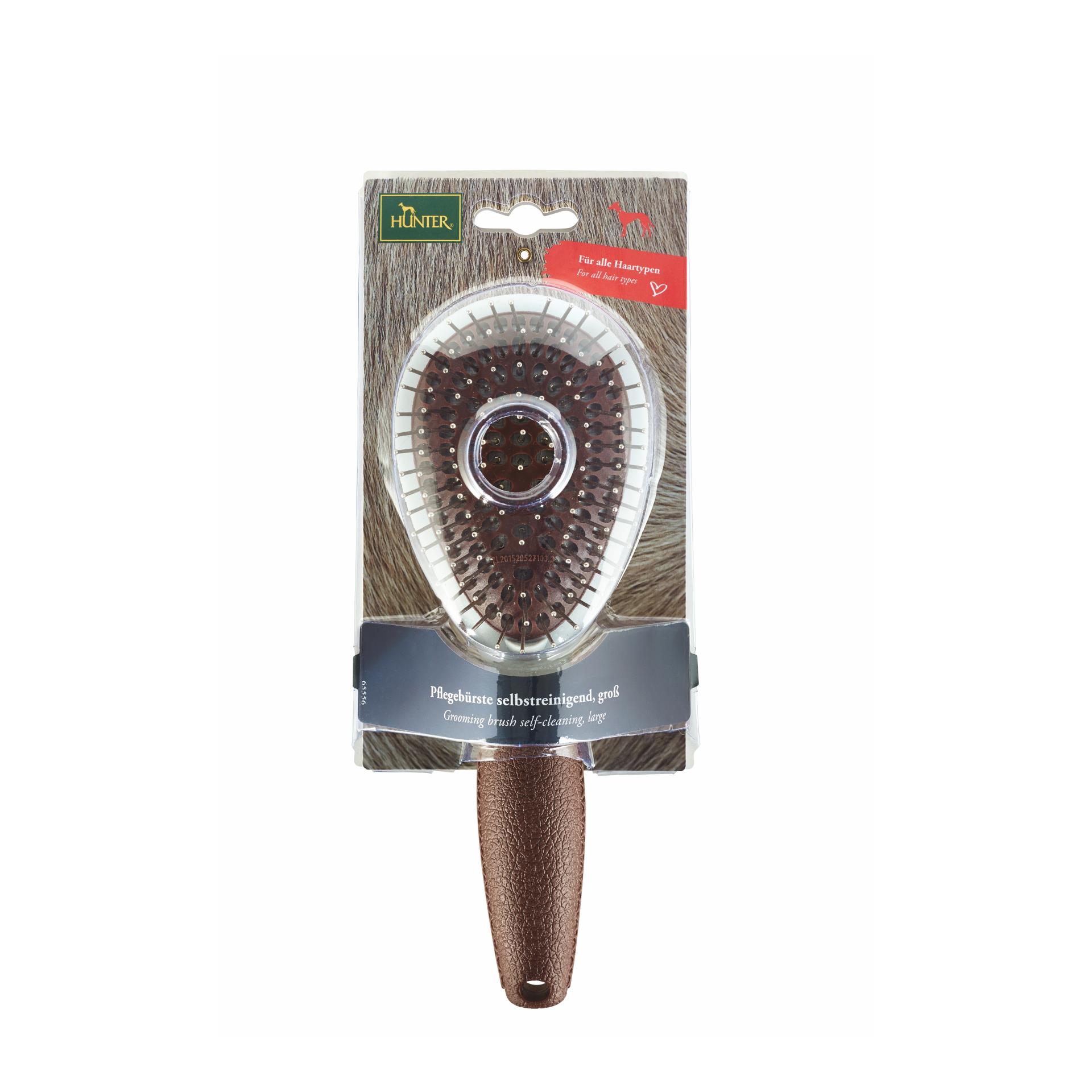 Hunter Brosse autonettoyante Spa