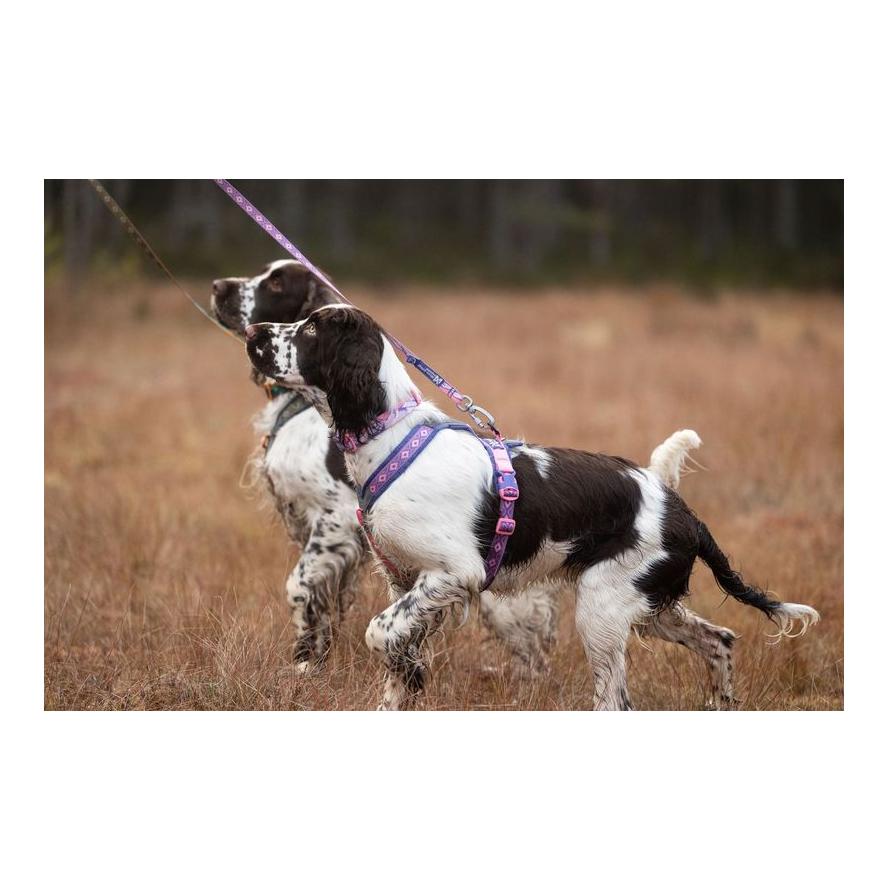 Non-stop Dogwear Hundegeschirr Line Harness 5.0 Rachel Pohl Edition
