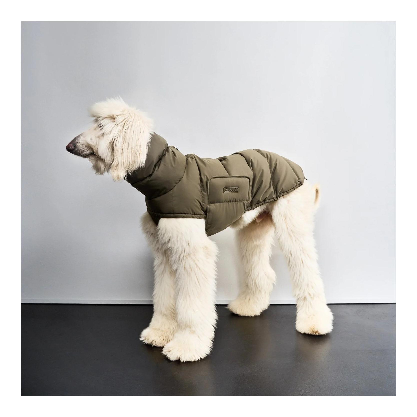 Cloud 7 Winter Hundemantel Alaska Windhund