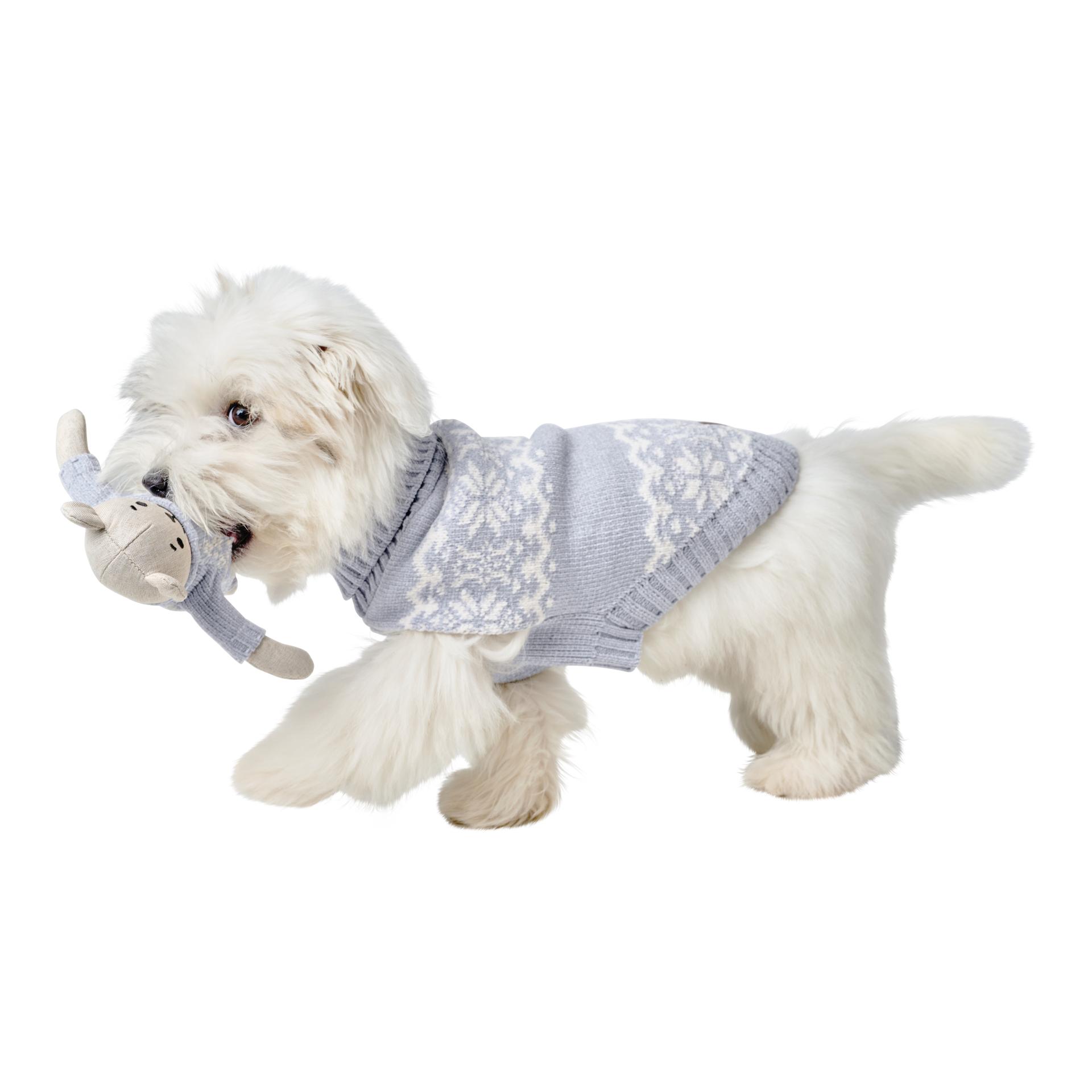 Hunter Pull pour chien Birka
