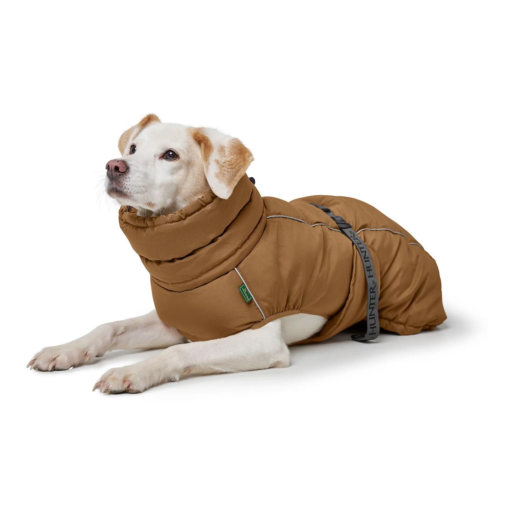 Hunter Manteau pour chien Paxson