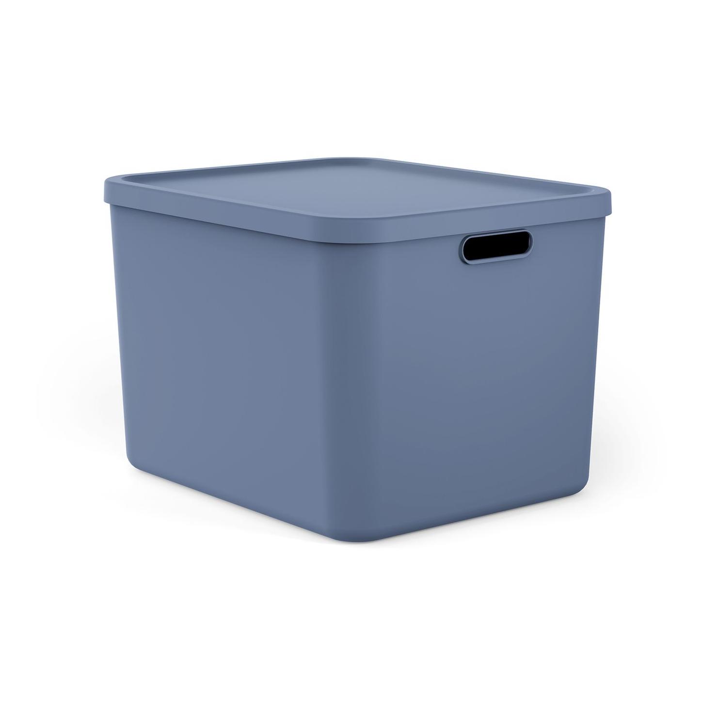Rotho Multibox ALBULA