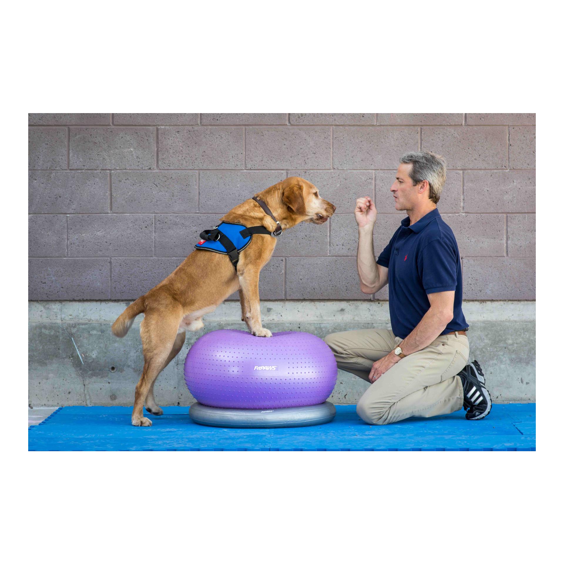 FitPaws Donut TRAX