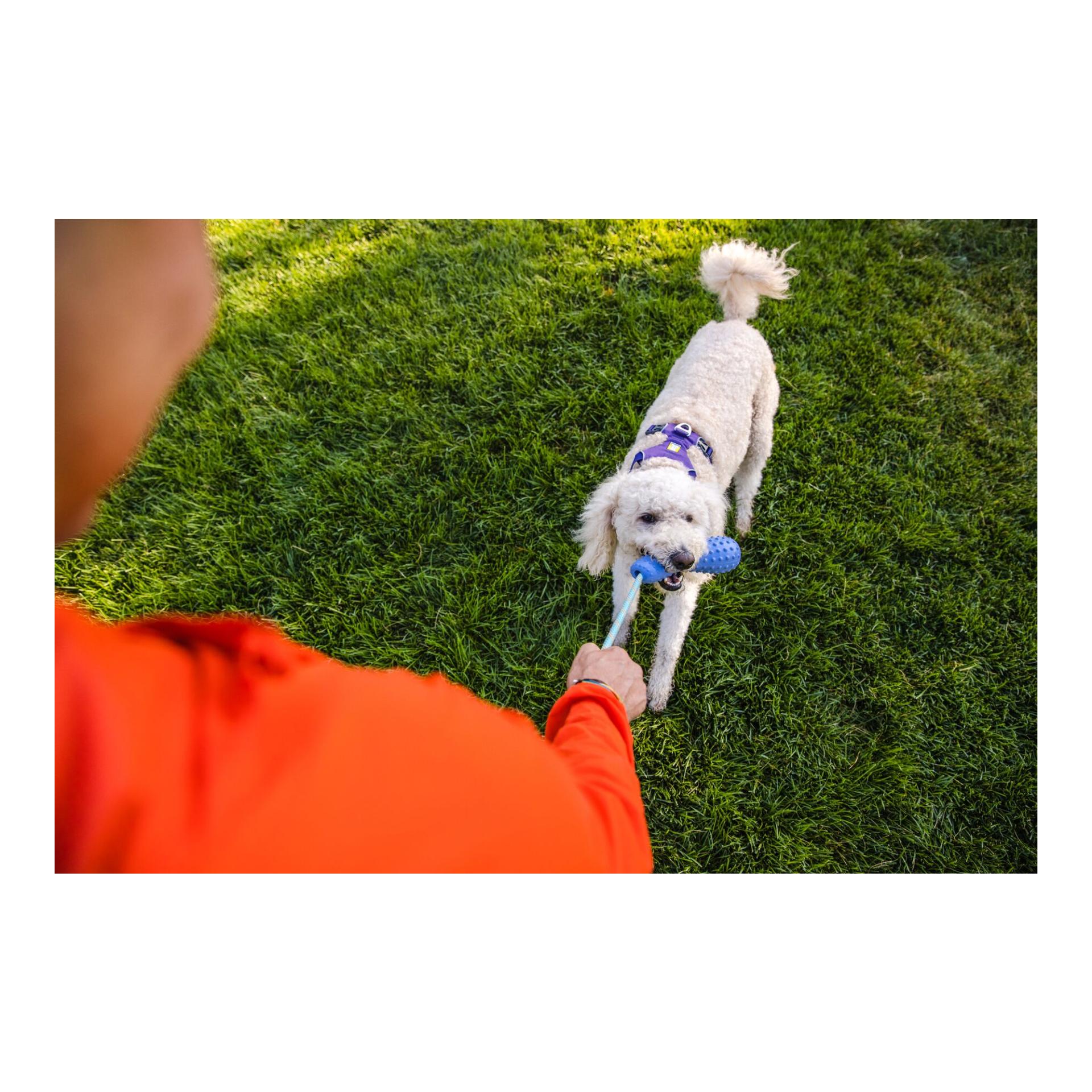 Ruffwear Gourdo™ Hundespielzeug