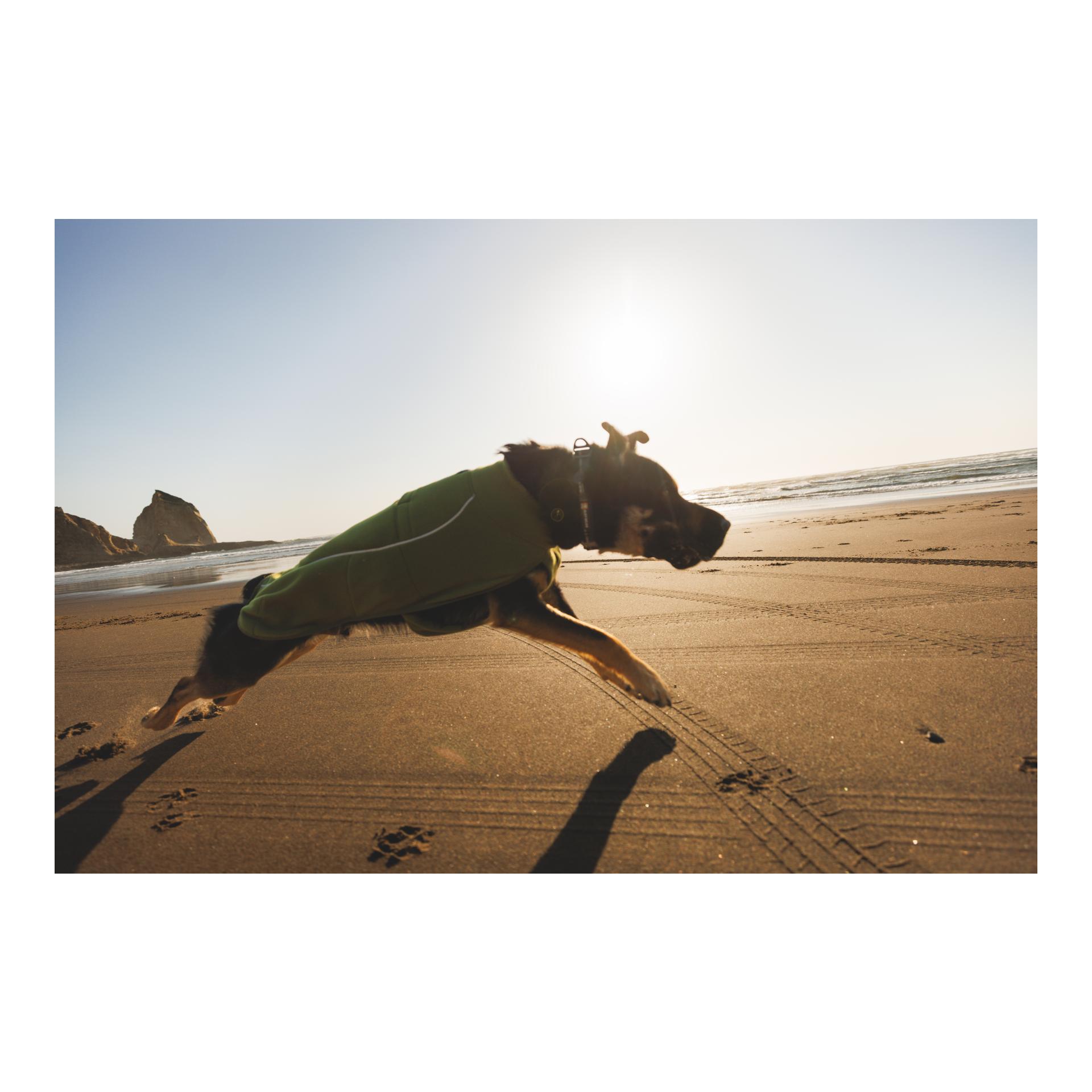 Ruffwear Climate Changer™ Fleece Vest