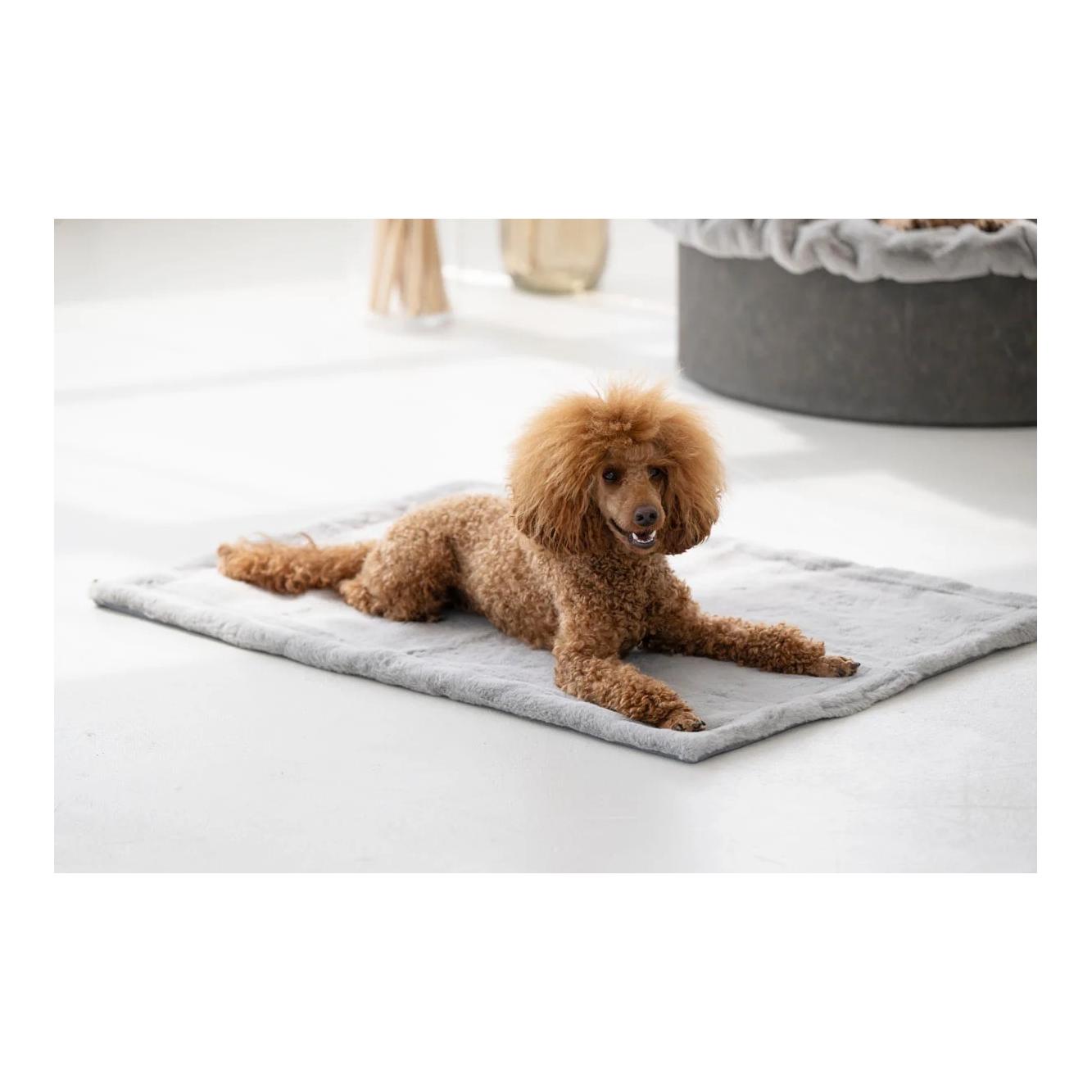 Dogspring by MAUL Couverture pour chien Kharlo - gris pierre