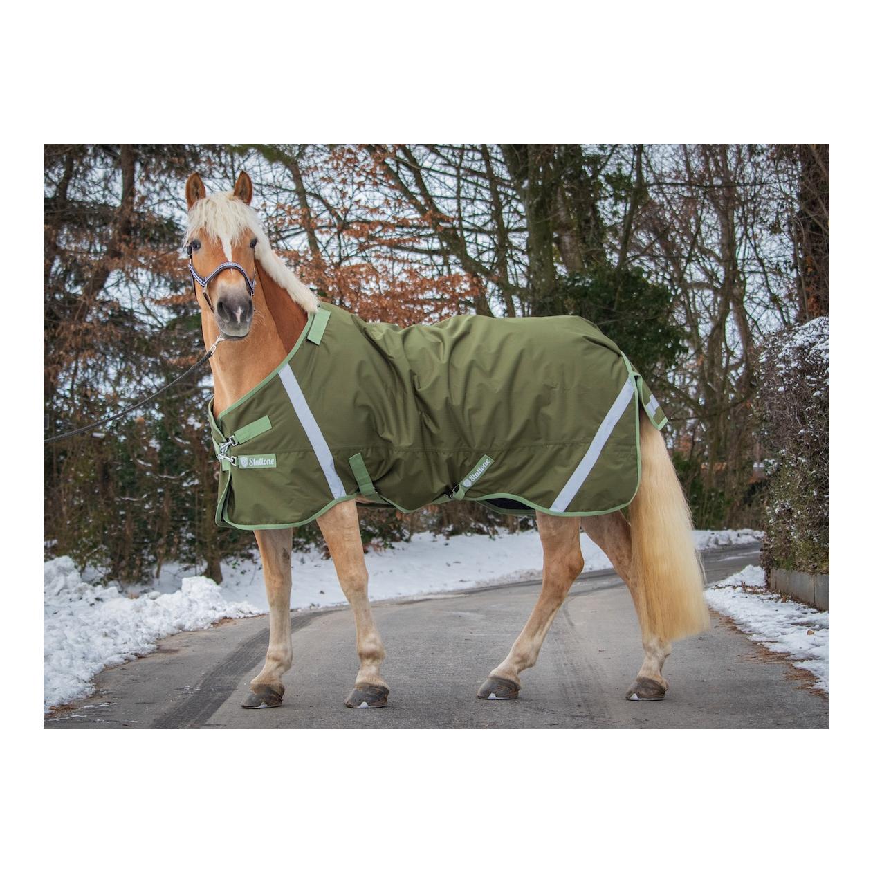 Stallone Winterdecke 300 g Outdoor Guard