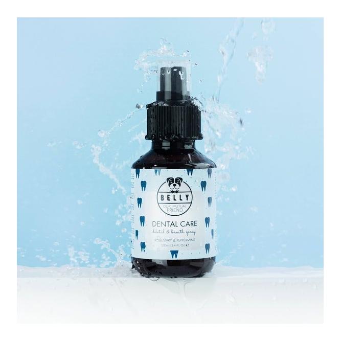 Belly Zahnpflege Dental Care Spray