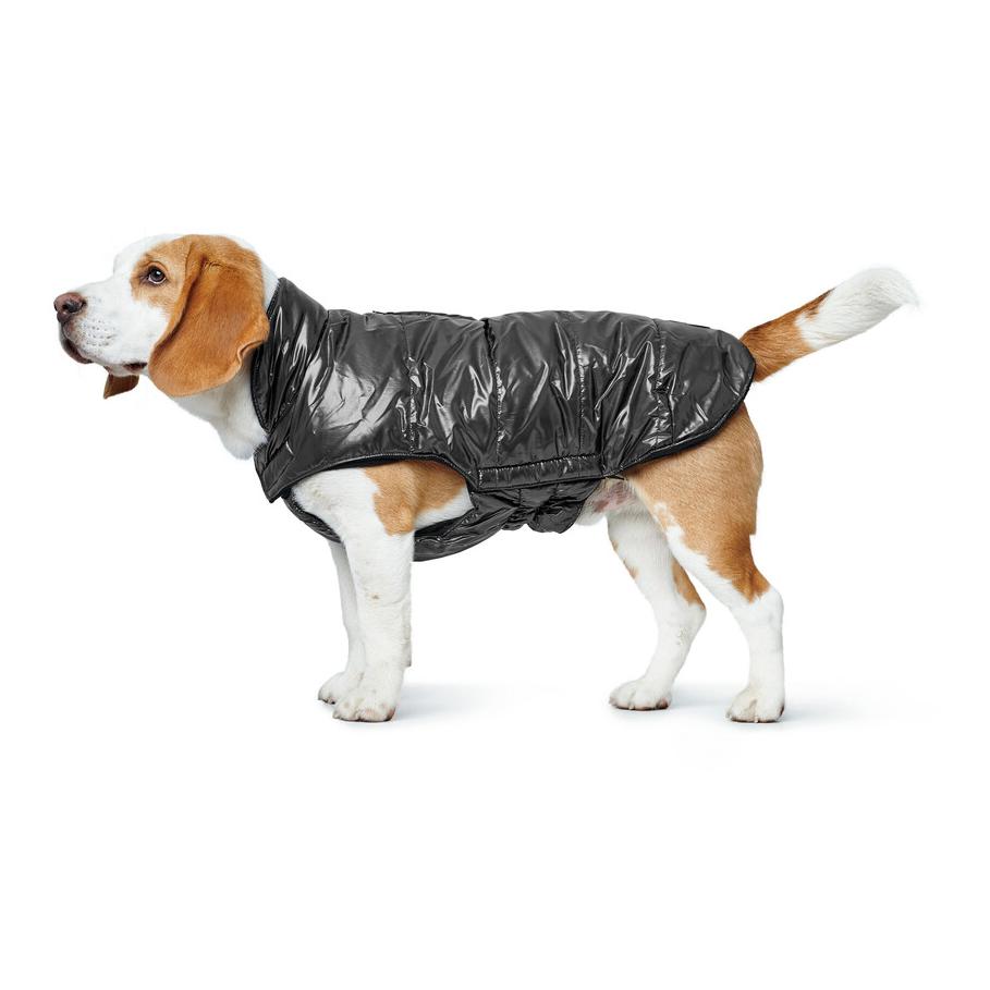Hunter Manteau pour chien Tampere - noir