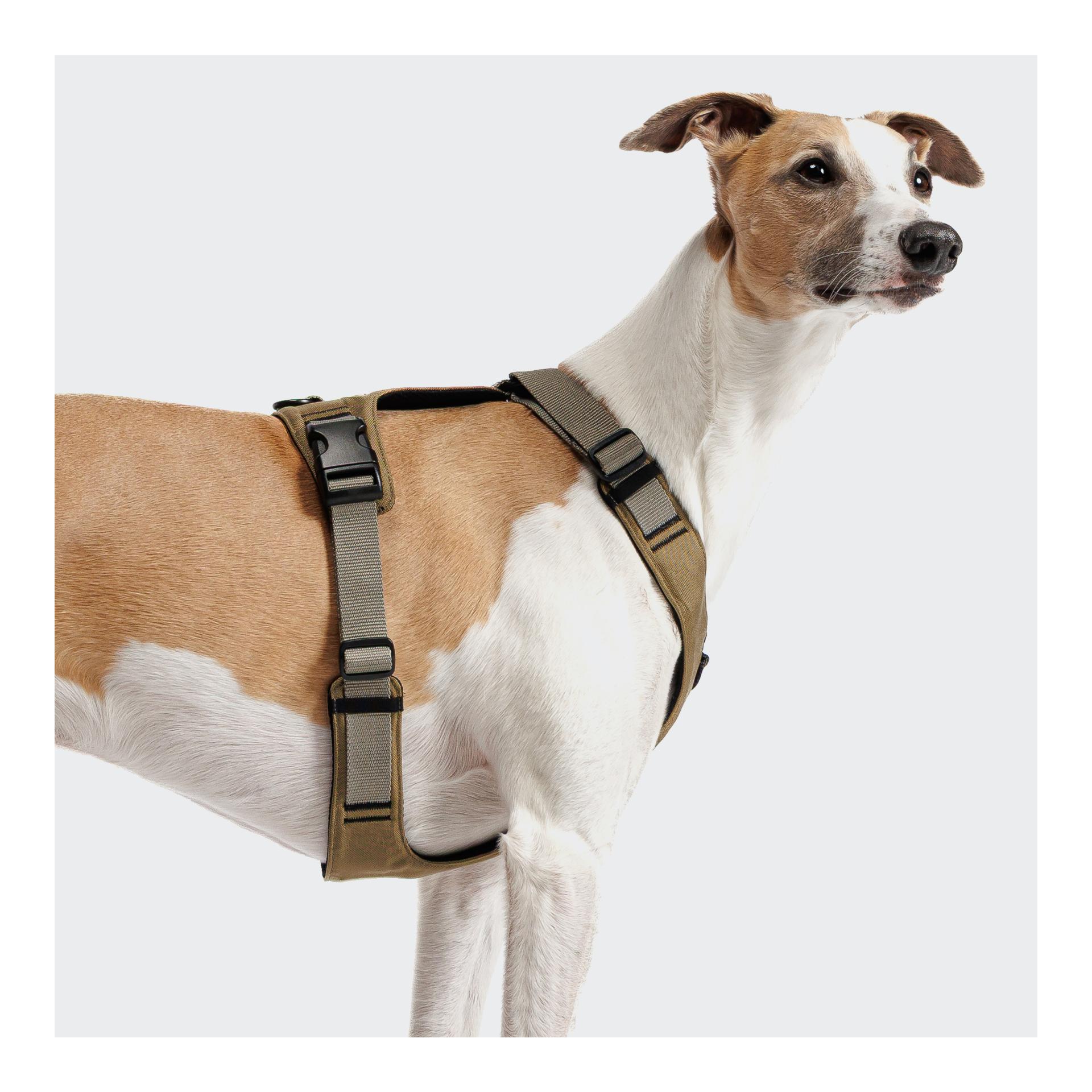 Cloud 7 Y-2-Hundegeschirr