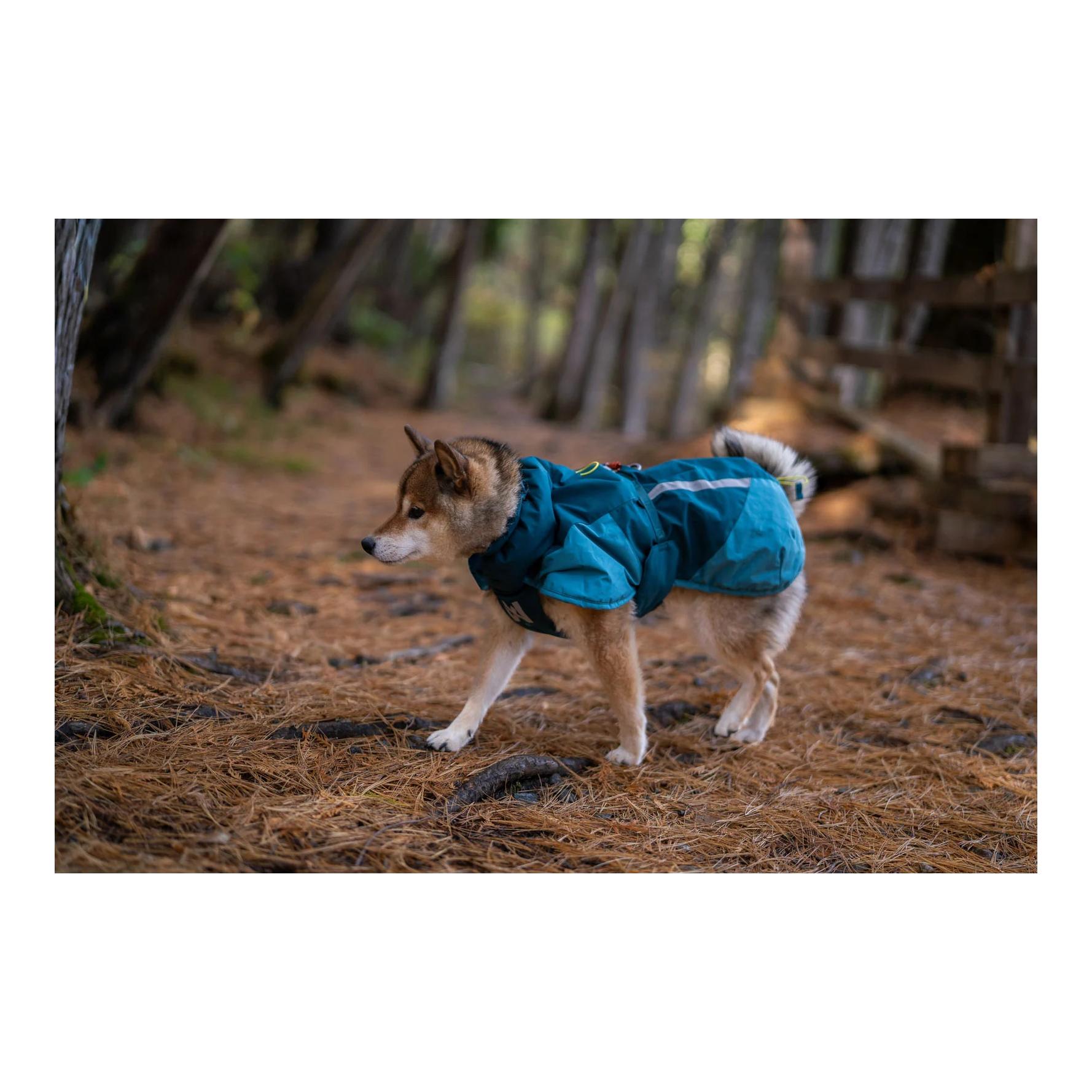 Non-stop Dogwear Veste d'hiver pour chien Glacier jacket 3.0