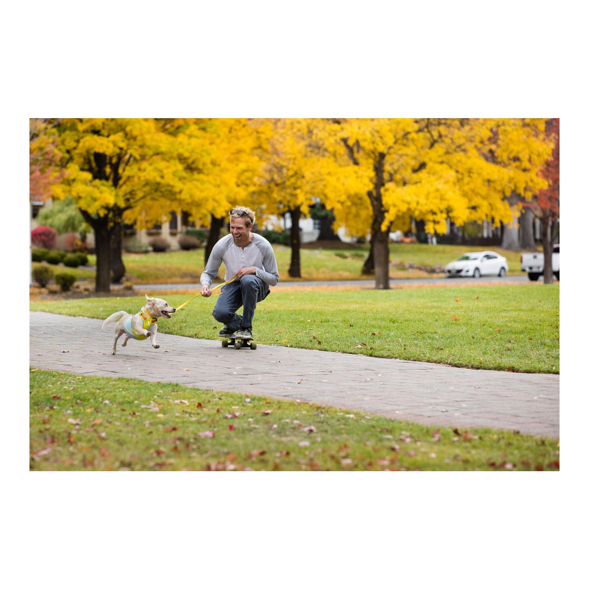 Ruffwear Harnais Hi &amp; Light™