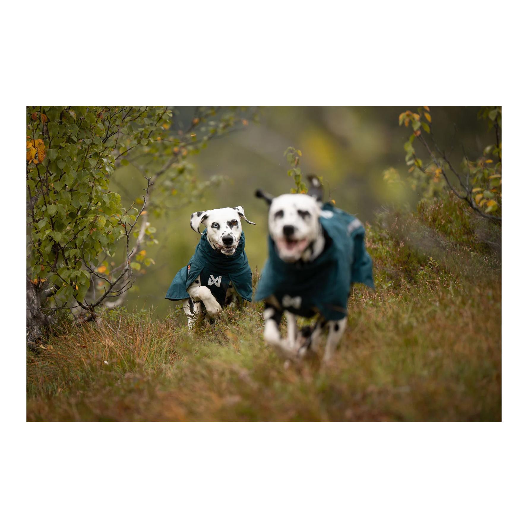 Non-stop Dogwear Fjord lined Regenmantel