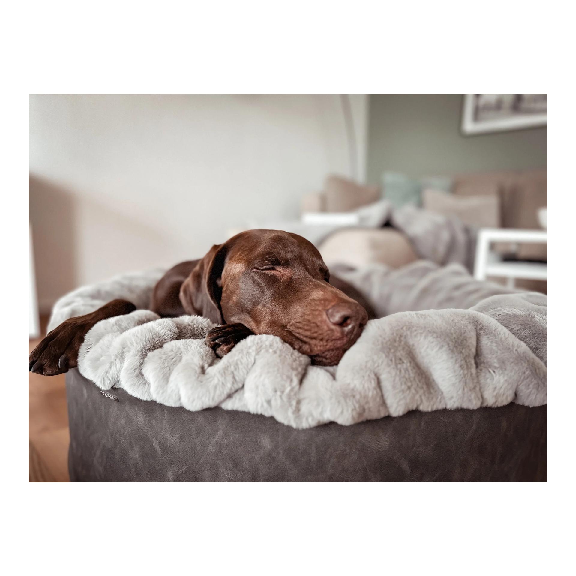 Dogspring by MAUL Hundebett Buddelnest®