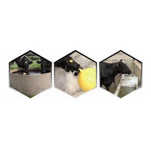 PVA Topaz Schwimmerventil 200l / min