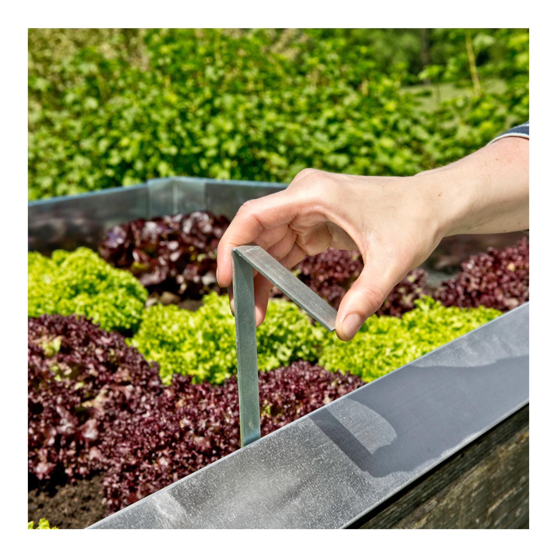 Windhager Pince de fixation pour barrière à limaces