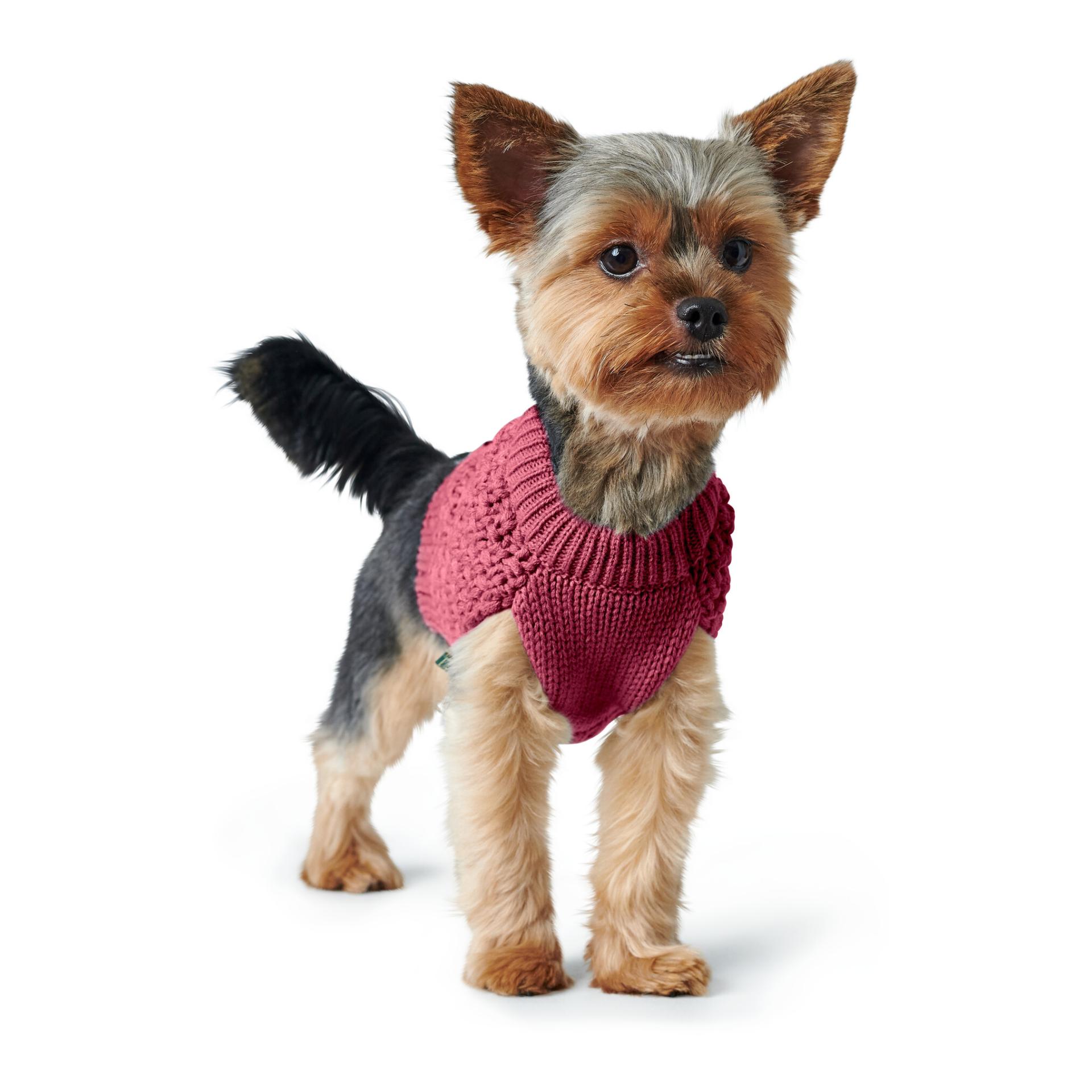 Hunter Pullover pour chien Malmö - bordeaux