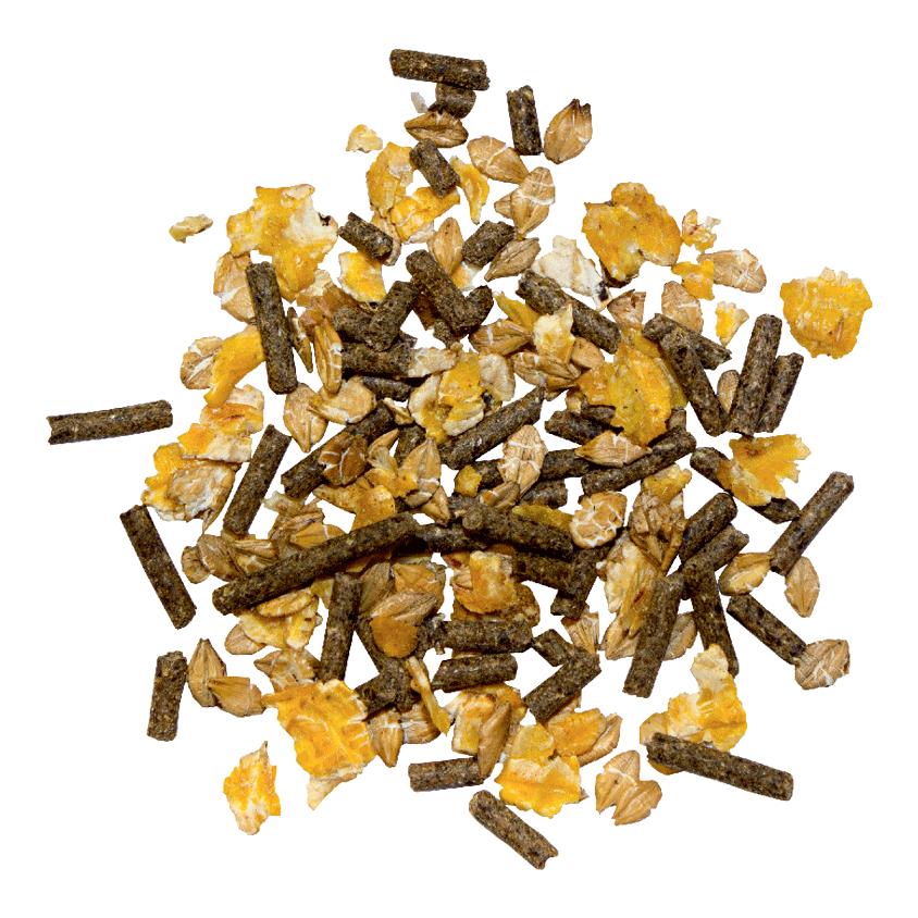 Marstall Sans avoine - muesli sans avoine