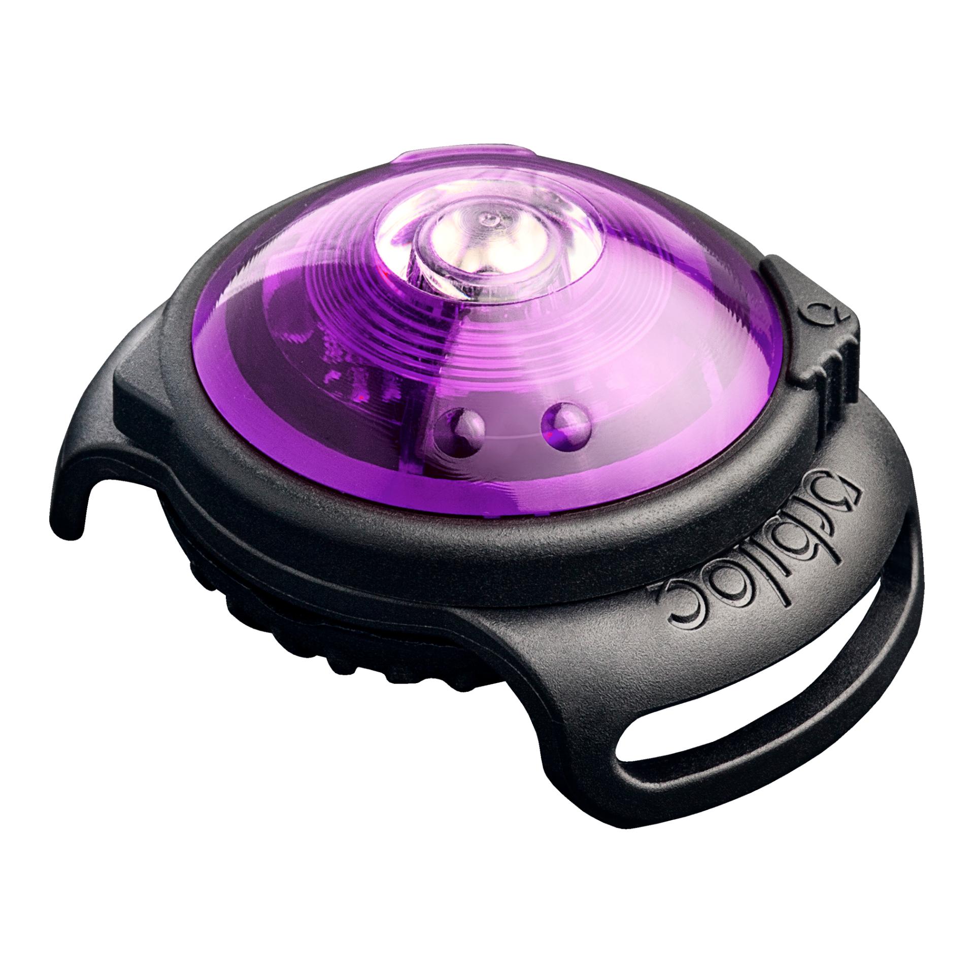 Orbiloc Safety Light Orbiloc Dog Dual - violett