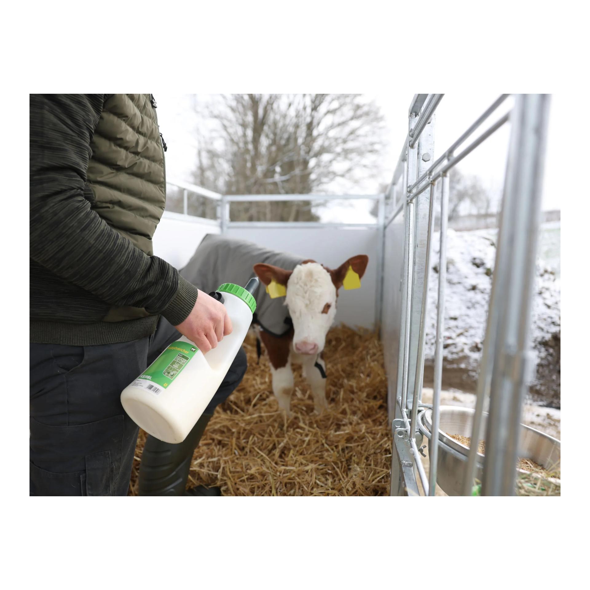 Kerbl Tétine de rechange avec bouchon à vis pour biberon Speedy/Milky