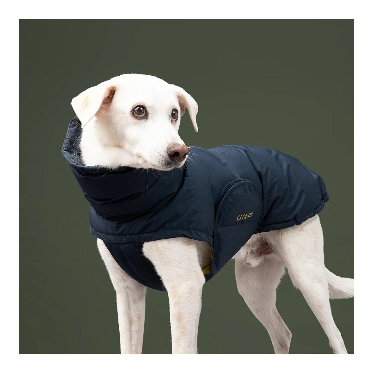 Cloud 7 Hundemantel Alaska PRO
