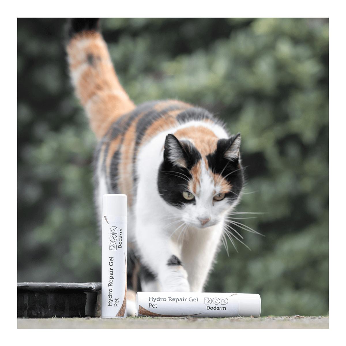 Doderm Hydro Repair Gel Pet