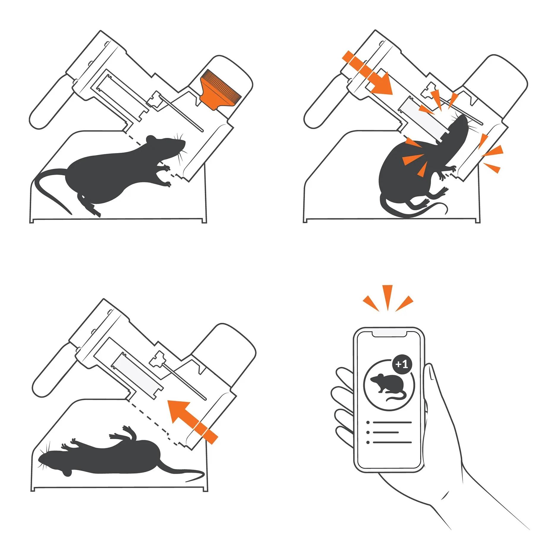 GoodNature A24 Smart Ratten- und Mäusefallen-Kit