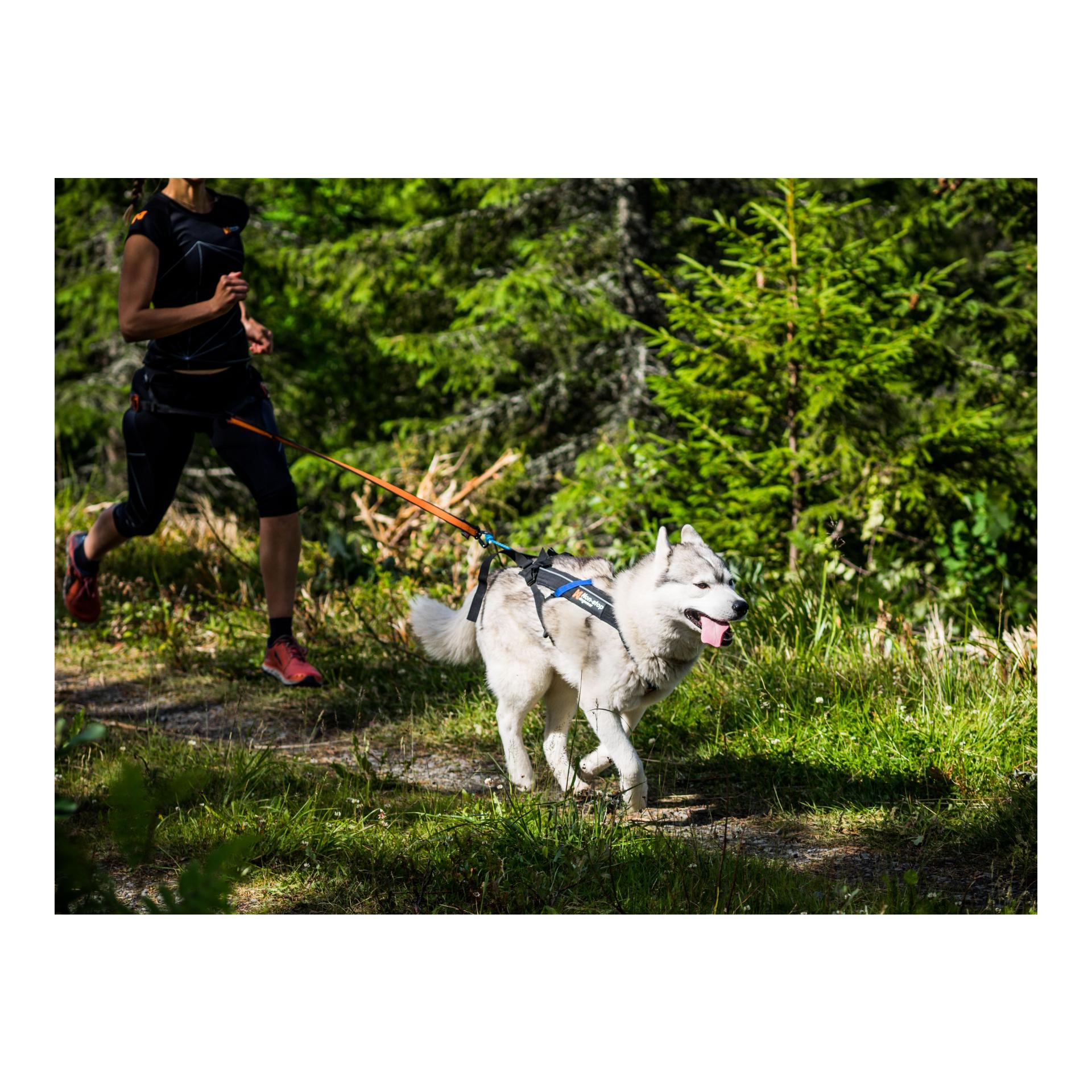 Non-stop Dogwear Freemotion Harness