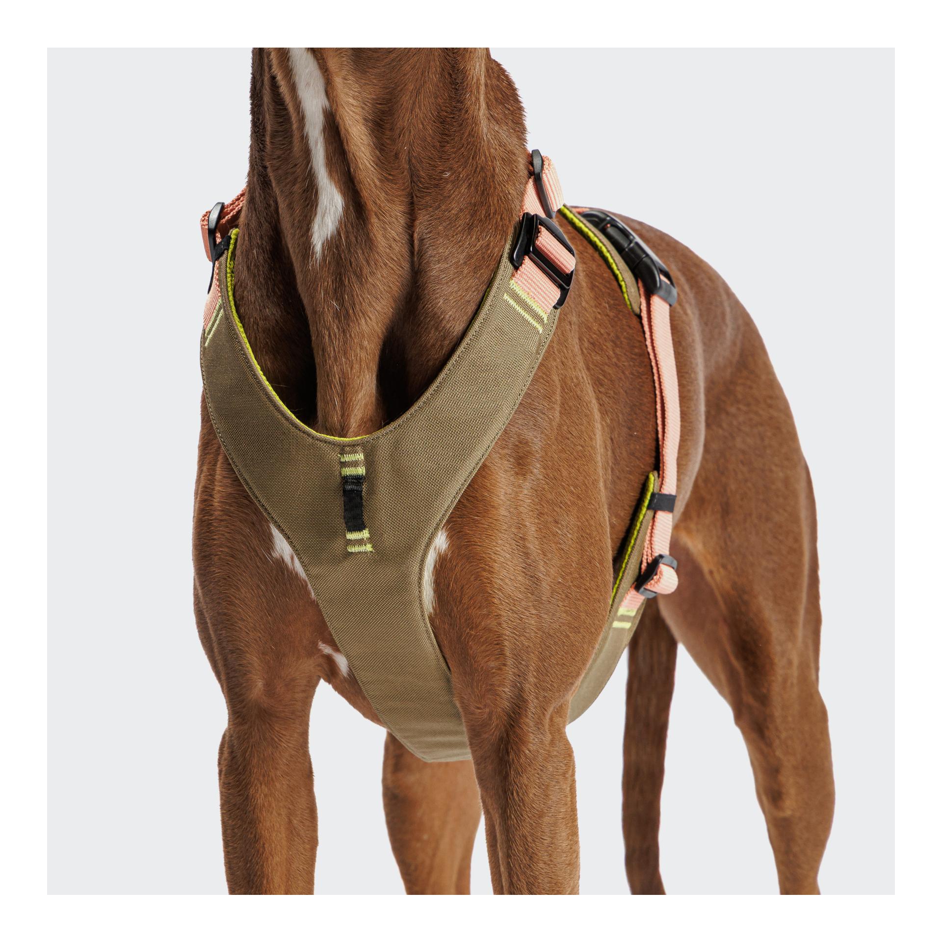 Cloud 7 Harnais pour chien Y-2