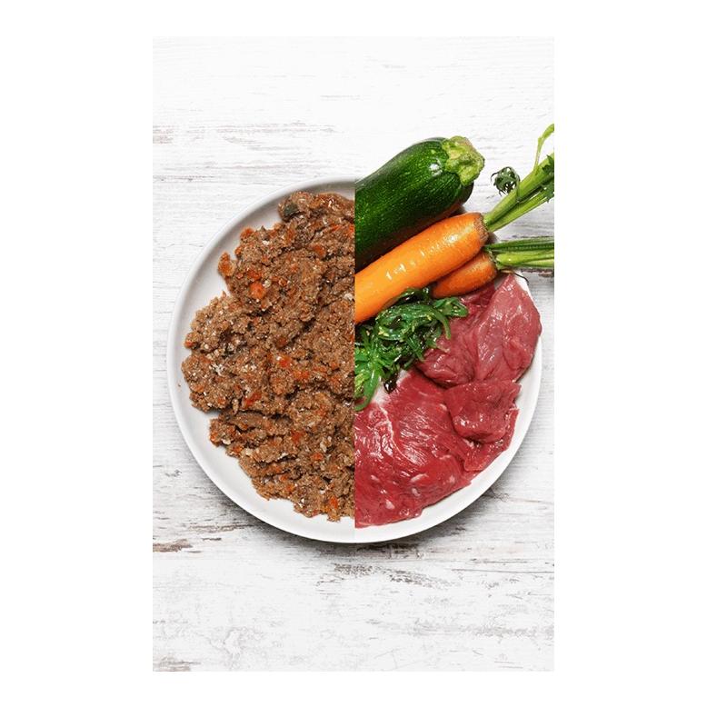 Dog's Love Nassfutter Menü Junior Rind mit Karotte und Salbei