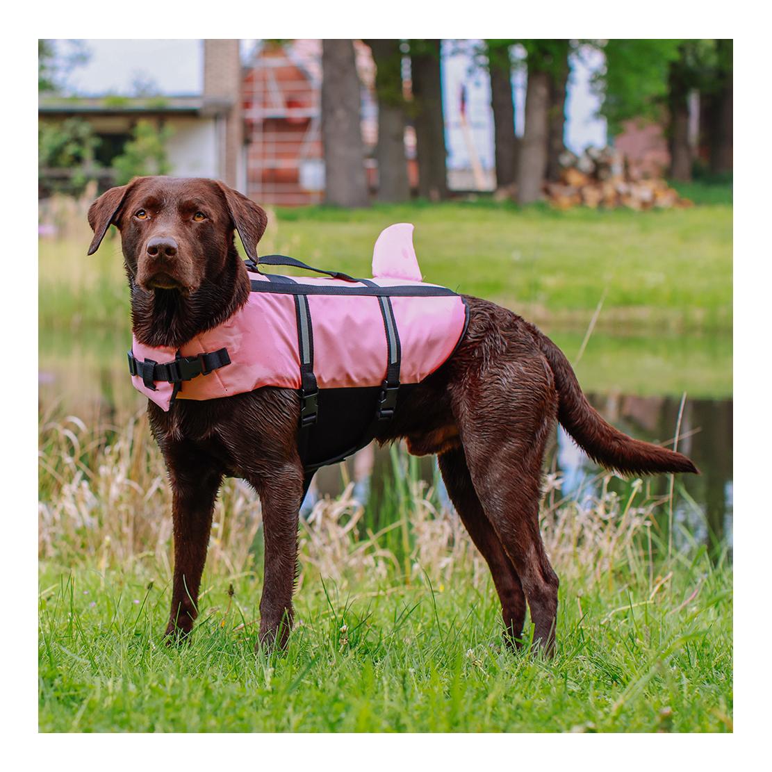 Nobby Hunde Schwimmhilfe Shark