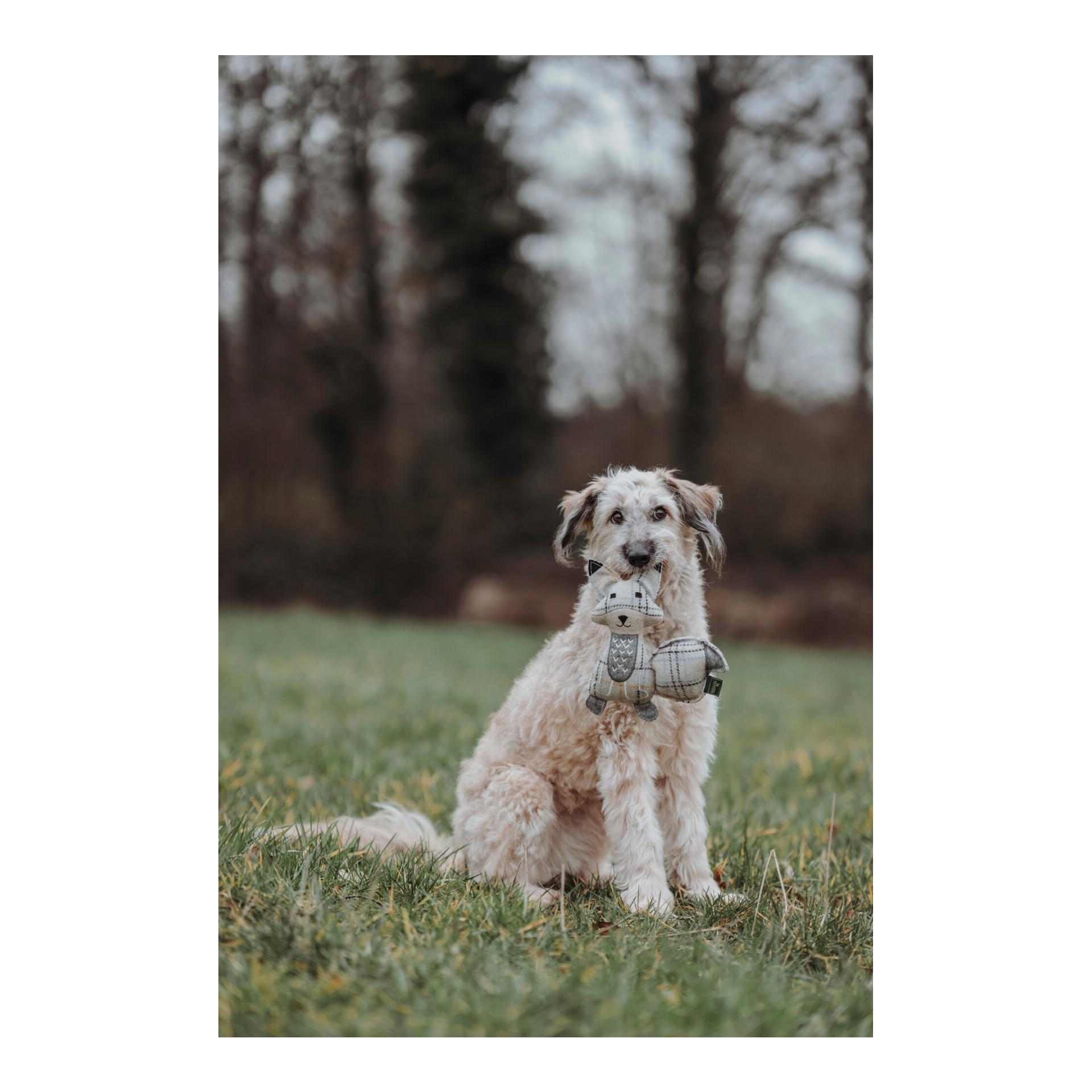Hunter Jouet pour chiens Billund Renard