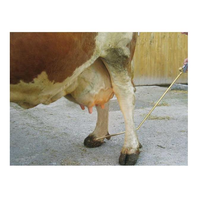 Kerbl Épilateur pour mamelles PREVENTA avec raccord pour cartouche de gaz