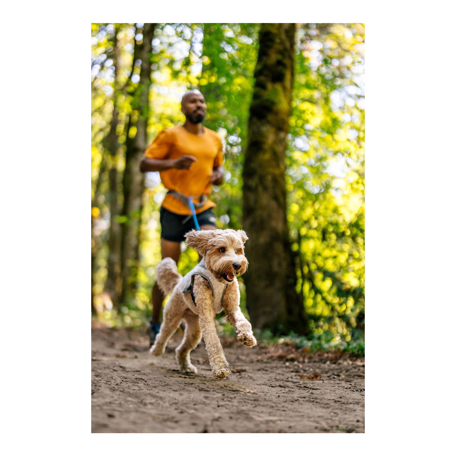 Ruffwear Swamp Cooler™ gilet rafraîchissant pour chiens