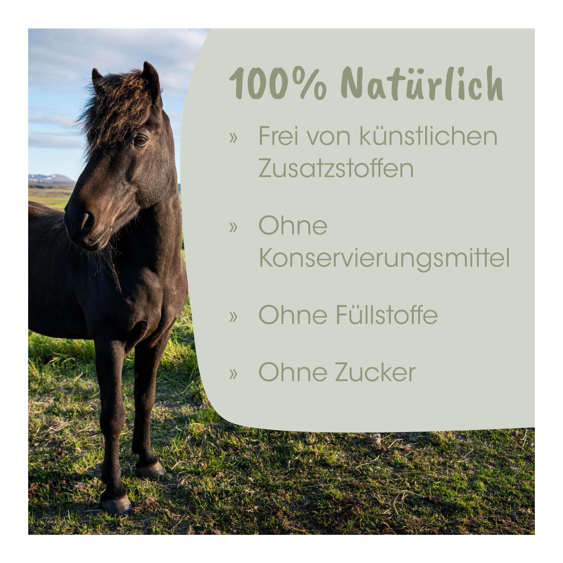 cdVet EquiGreen Alimentation pour les nerfs