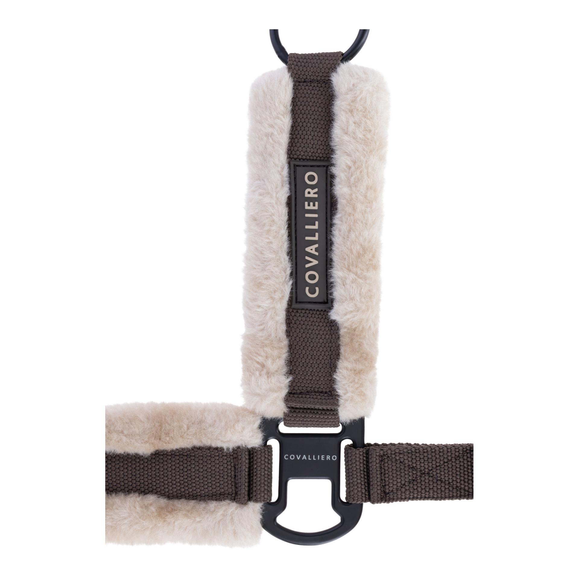 Covalliero Halfter Soft H/W 2026
