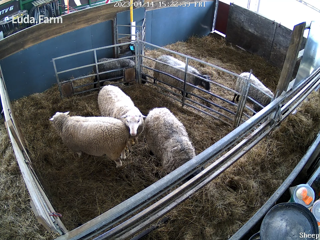 LudaFarm FarmCam Flex 5MP - Kit de démarrage