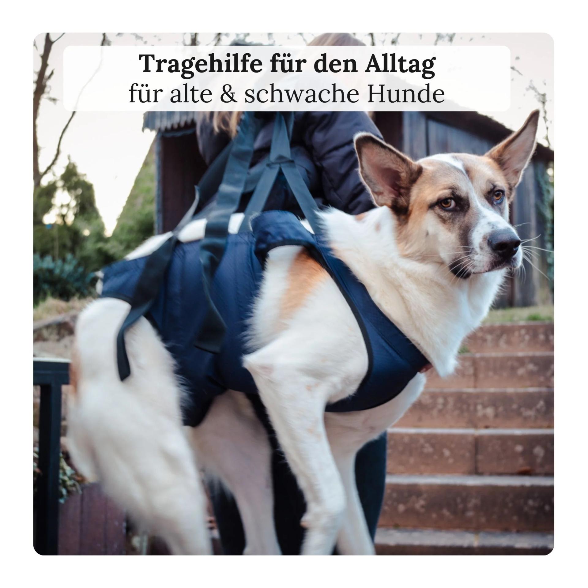 Wanderpfote Notfallrucksack & Tragehilfe für Hunde