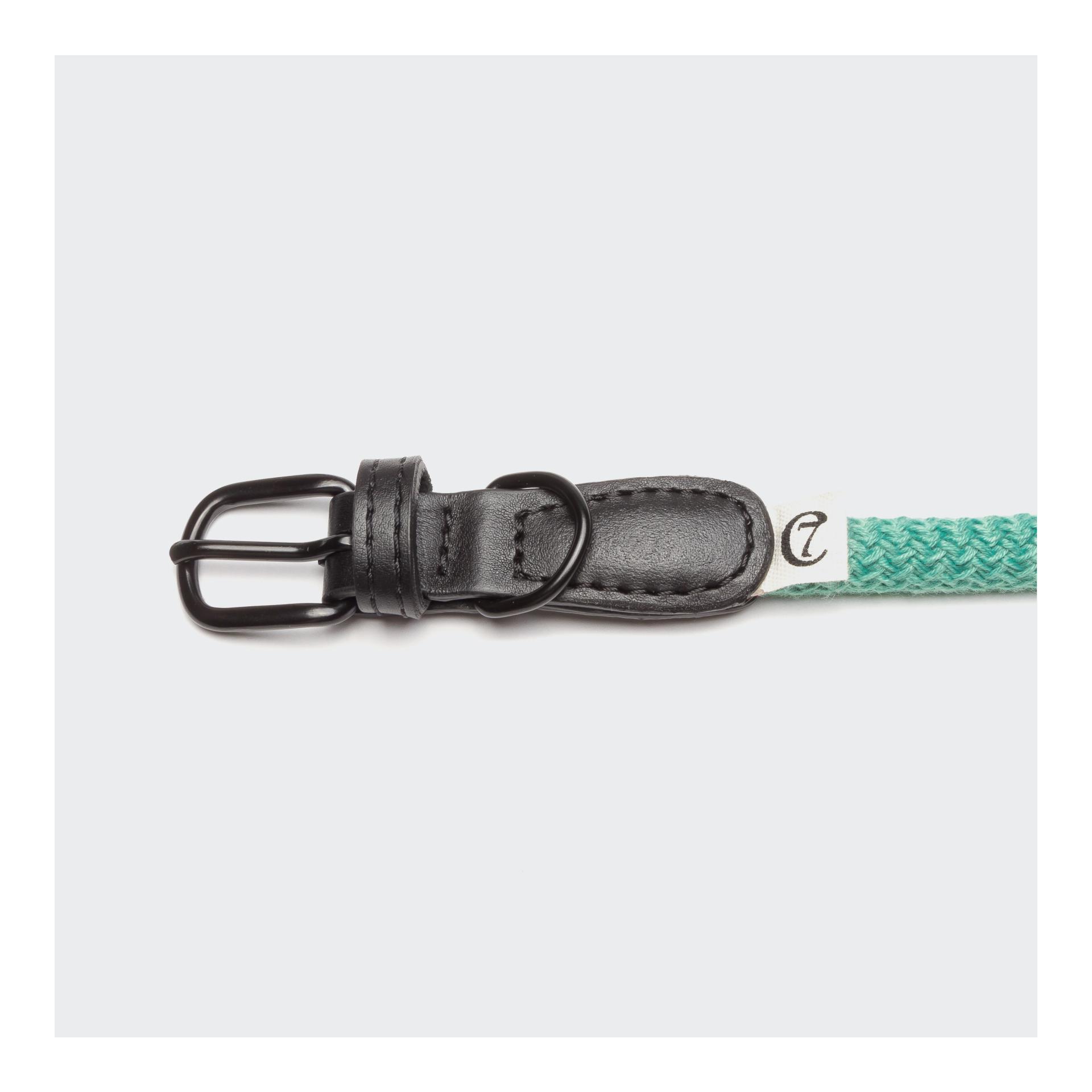 Cloud 7 Collier pour chien Mauerpark